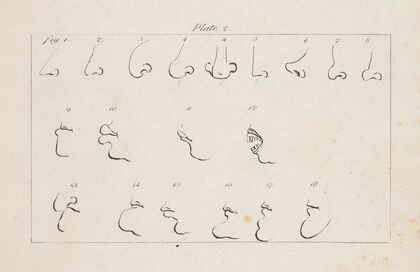 Eighteen studies of facial features