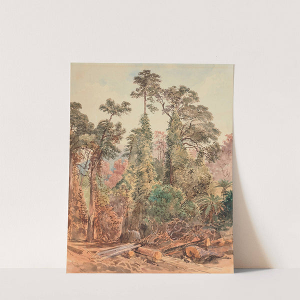 Untitled (Bush Tramway, Pigeons Bush) by Nicholas Chevalier