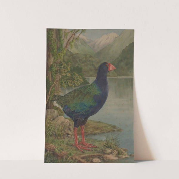 Untitled (Takahe) by Lily Attey Daff