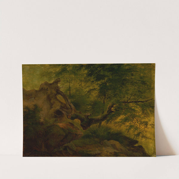 Uprooted Tree (Windthrow) (1860–1870) by Jozef Božetech Klemens