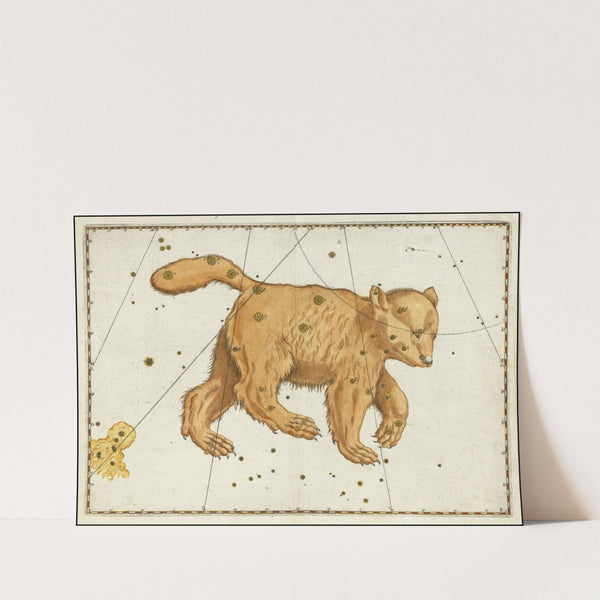 Ursa Major (1624) by Johann Bayer