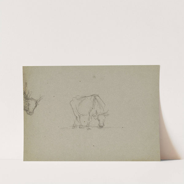 Vache et tête de vache by Jean-Achille Benouville