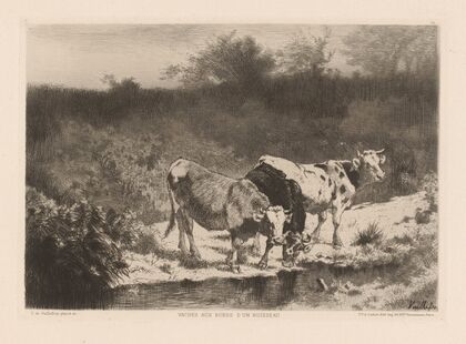 Vaches aux bords d’un ruisseau (1880)