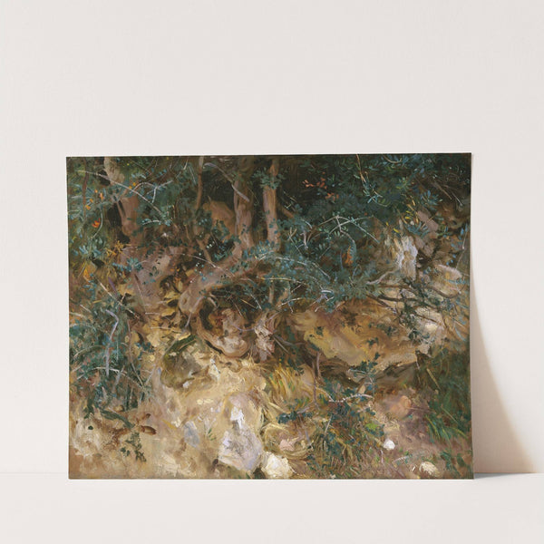 Valdemosa,Majorca - Thistles and Herbage on a Hillside by John Singer Sargent