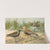 Vanellus gregarius (Pall.), Charadrius dominicus St. Muller by Johann Friedrich Naumann