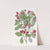 Various-leaved Hawthorn by Sydenham Edwards