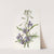 Various-leaved Lobelia by Sydenham Edwards