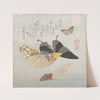 Various Moths and Butterflies by Kubo Shunman