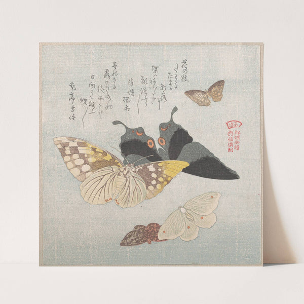 Various Moths and Butterflies by Kubo Shunman