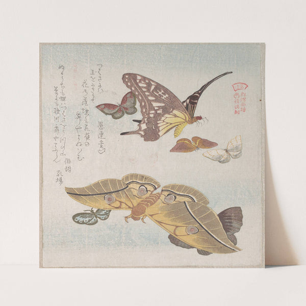 Various Moths and Butterflies by Kubo Shunman