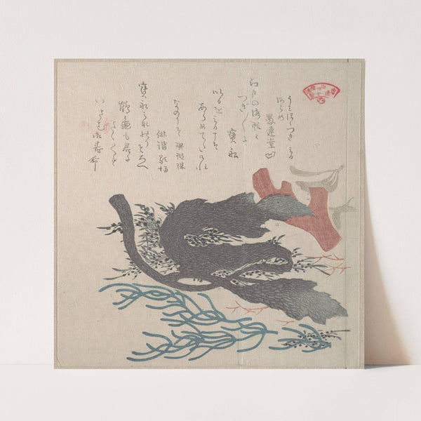 Various Seaweed by Kubo Shunman