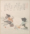 Various Shells with Sea Weeds