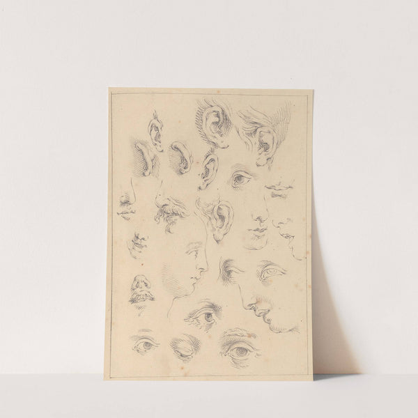 Various Sketches of Eyes, Ears, and Profiles by Hamlet Winstanley