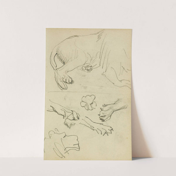 Various studies of lion leg, paws and head by Théodore Géricault