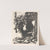 Vase de fleurs devant un miroir (20th Century) by Armand Apol