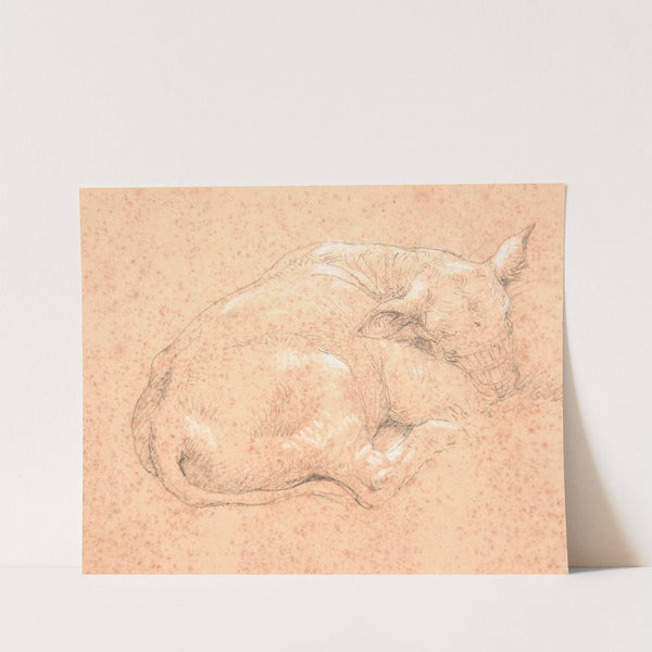 Veau couché by Jacques-Raymond Brascassat