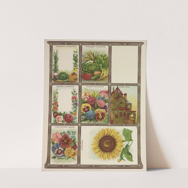 Vegetable and Flower Collection (1921) by Genesee Valley Lithograph Co.