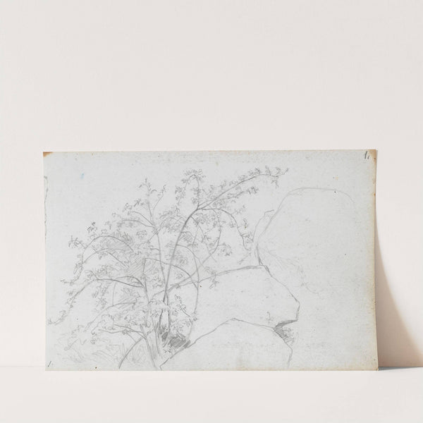 Vegetasjonsstudie by Hans Gude