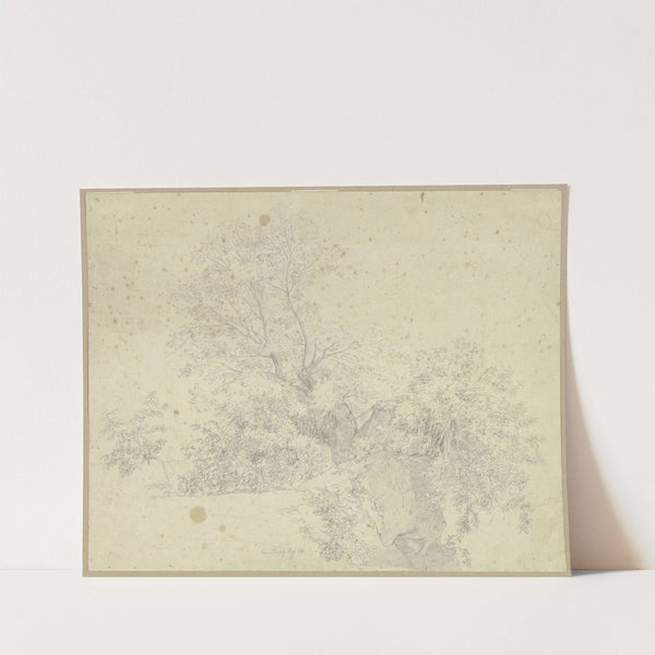 Vegetation picture by Johannes Thomas