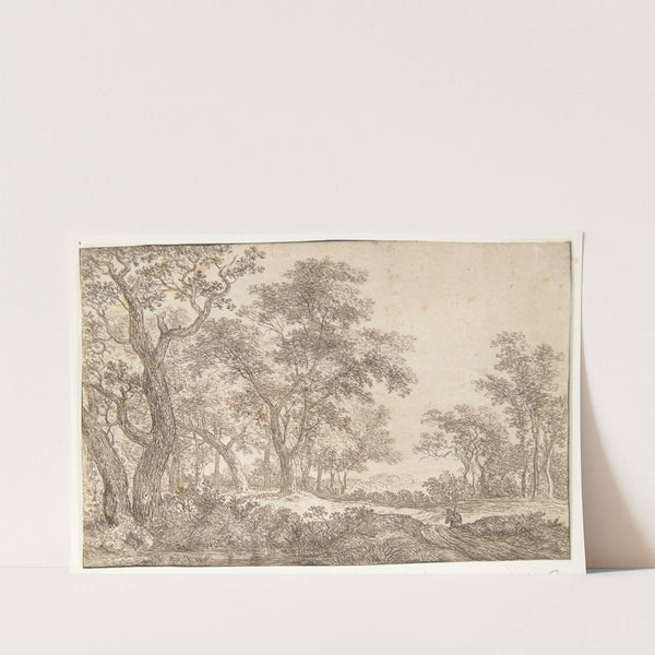 Vej i en skov by Simon de Vlieger