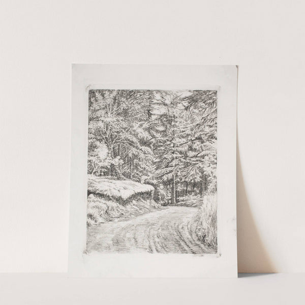 Vejen i Granskoven (1885) by Carl Bloch