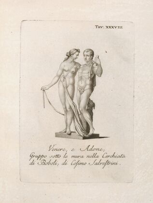 Venere, e Adone; Gruppo sotto le mura nella Cerchiata di Boboli; di Cosimo Salvestrini.