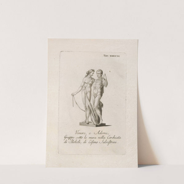 Venere, e Adone; Gruppo sotto le mura nella Cerchiata di Boboli; di Cosimo Salvestrini. by Gaetano Vascellini