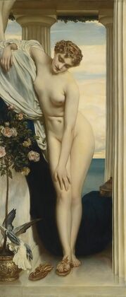 Venus Disrobing For The Bath
