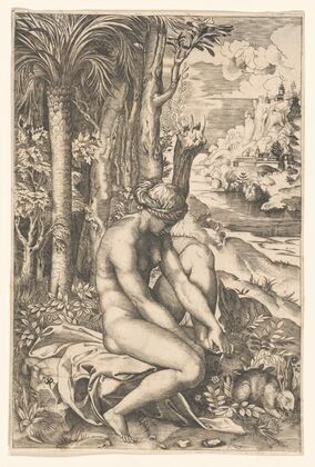 Venus Wounded by the Rose’s Thorn (1516)