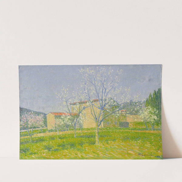 Verger en fleurs à Alet-les-Bains (Aude) by Achille Laugé