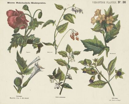 Vergiftige planten. (1875-1919)