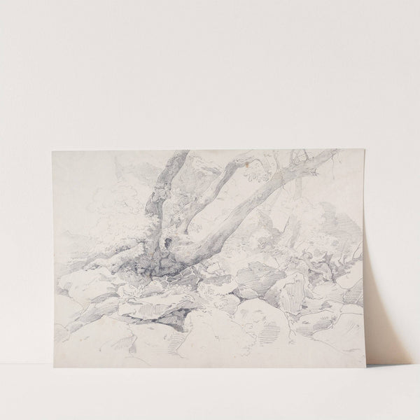 Verkrüppelter Baumstamm auf Felsen bei Ariccia by Ernst Fries