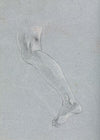 Verona Sketchbook: Left leg (page 28)