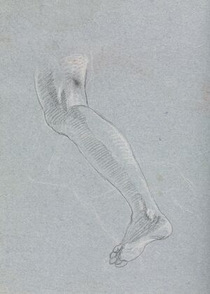 Verona Sketchbook: Left leg (page 28)