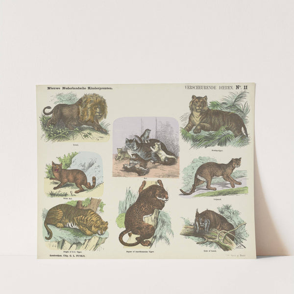 Verscheurende dieren (1875-1919) by Emrik & Binger