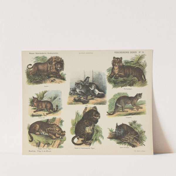 Verscheurende dieren (1875-1919) by Emrik & Binger