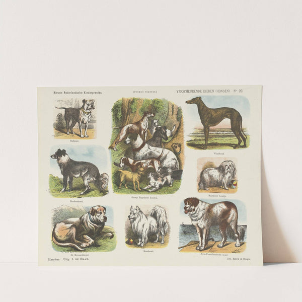 Verscheurende dieren (honden) (1875-1919) by Emrik & Binger