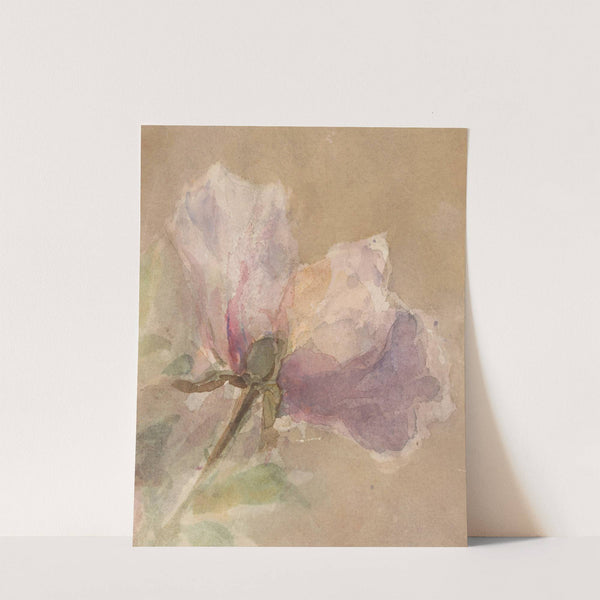 Verwelkte roos (1851 - 1924) by Carel Nicolaas Storm van '''s-Gravesande