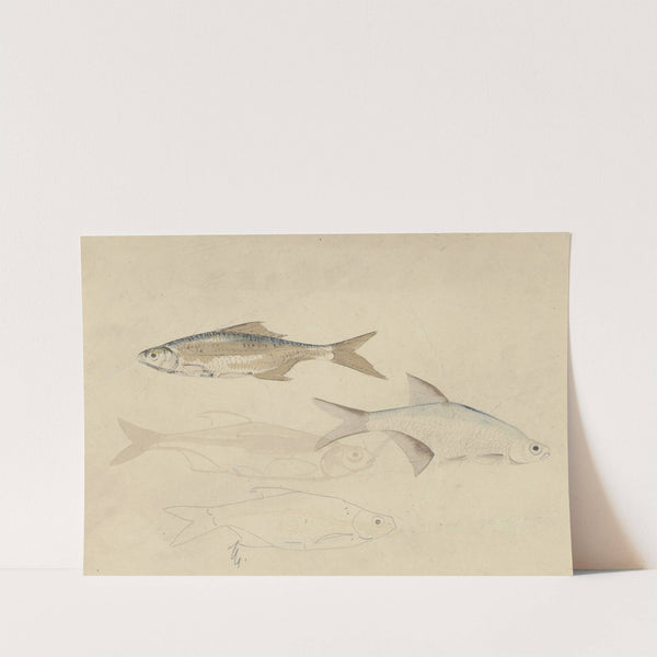 Vier barbelen (1874) by Carel Adolph Lion Cachet