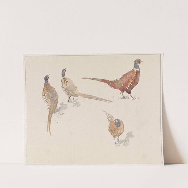 Vier fazanten by Jan van Essen