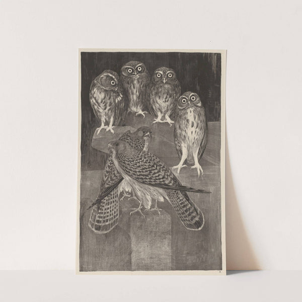 Vier steenuilen en twee torenvalken by Theo van Hoytema