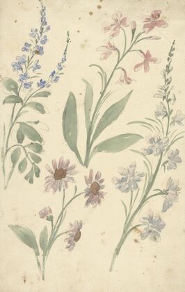 Vier studies van roze en blauwe bloemen