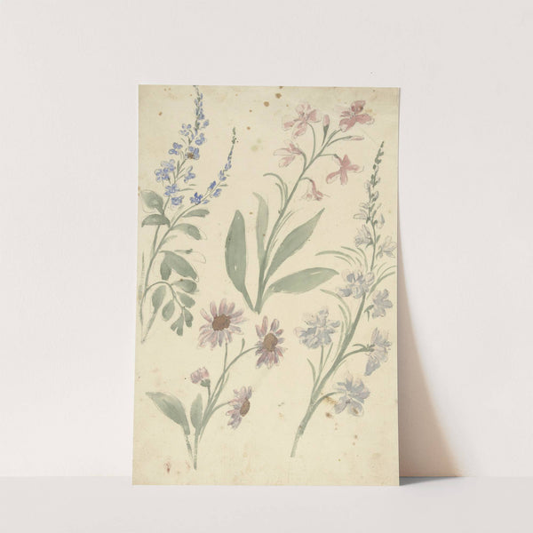 Vier studies van roze en blauwe bloemen by Elias van Nijmegen