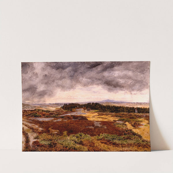 View from Bidston Hill by William Davis