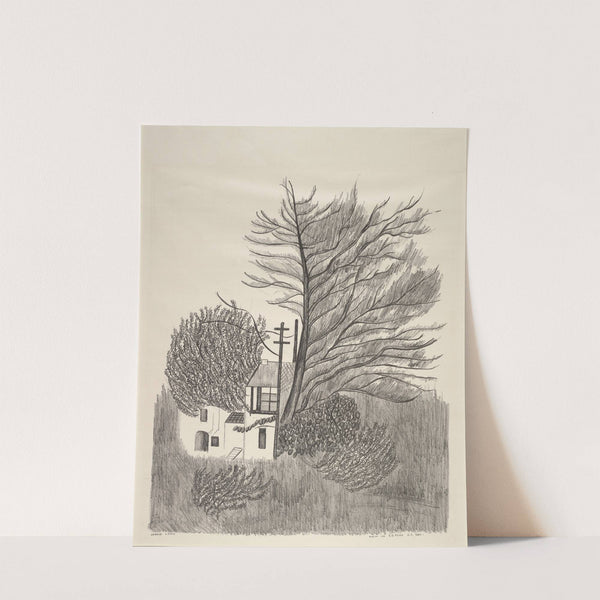 View in Golden Gate Park by Jennie Lewis