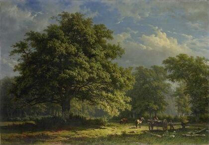 View in the Bentheim Forest