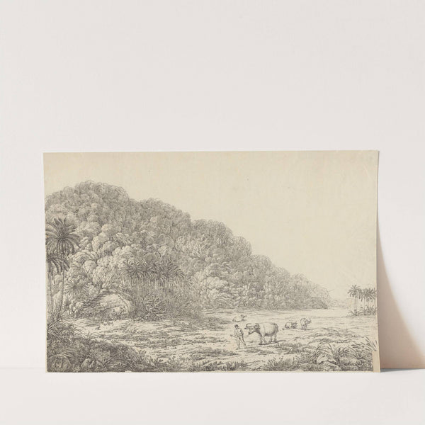 View in the Island of Pulo Condore by John Webber