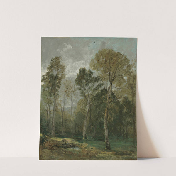 View Of A Copse by John Constable