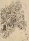 View of a mountain road among trees in Cargnaco (1897)