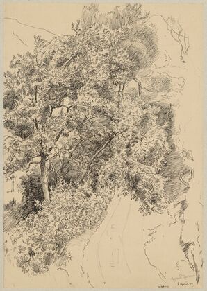 View of a mountain road among trees in Cargnaco (1897)